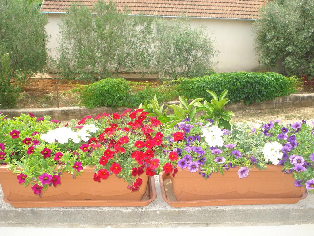 Juric Apartments Biograd Na Moru Luaran gambar
